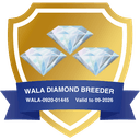 Best Life Labradoodles WALA 3 Diamond Breeder