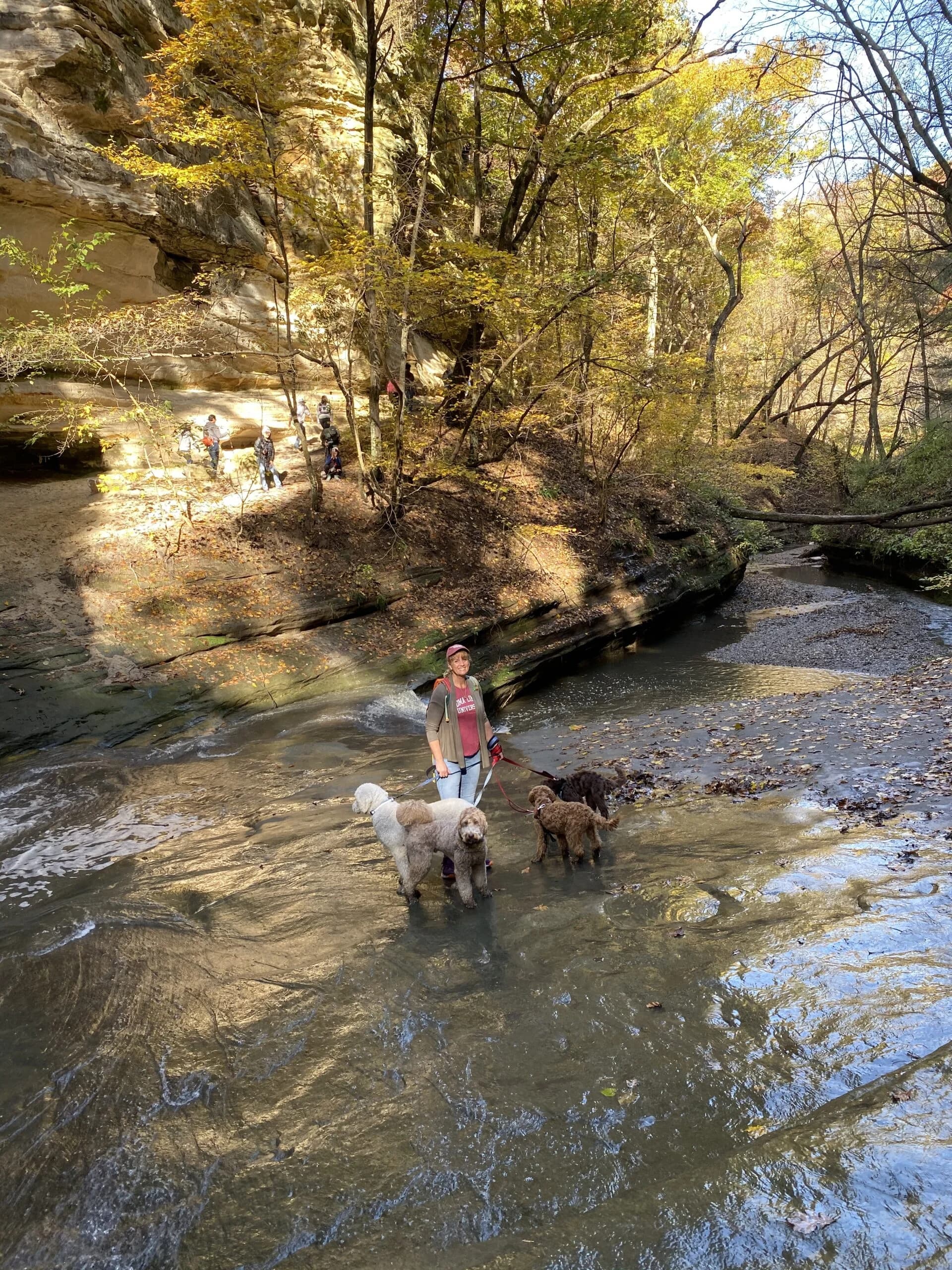 Best Life Labradoodles family