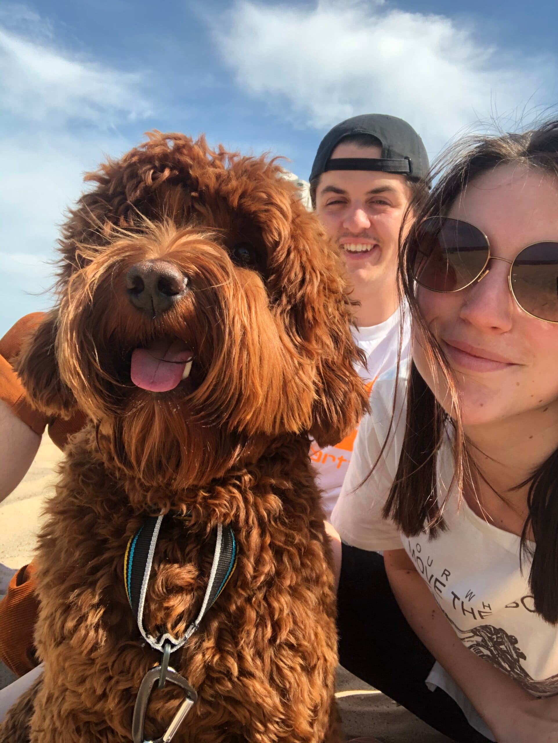Best Life Labradoodles family
