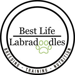Best Life Labradoodles